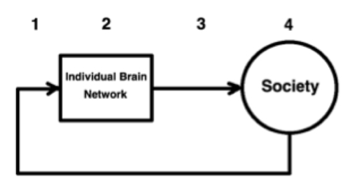 Brain - Society Arc